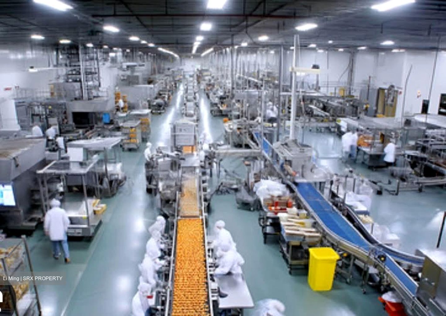 Ka Foodlink (D13), Factory #567997971